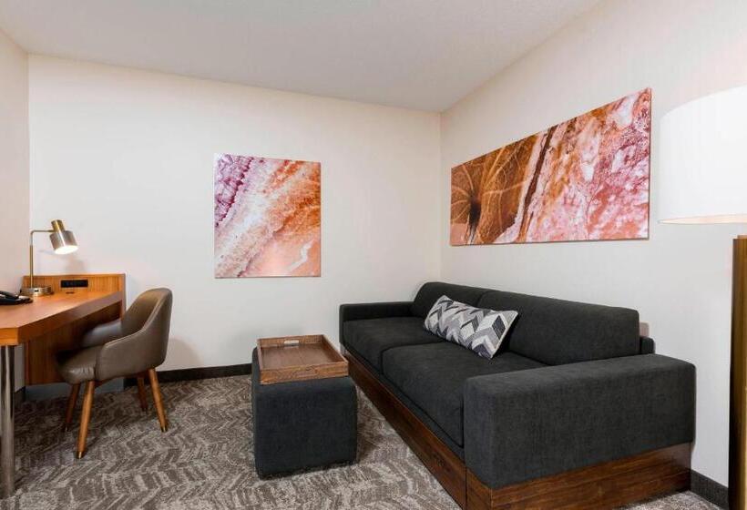 Suite Przystosowany dla Osób Niepełnosprawnych, Springhill Suites Grand Rapids North