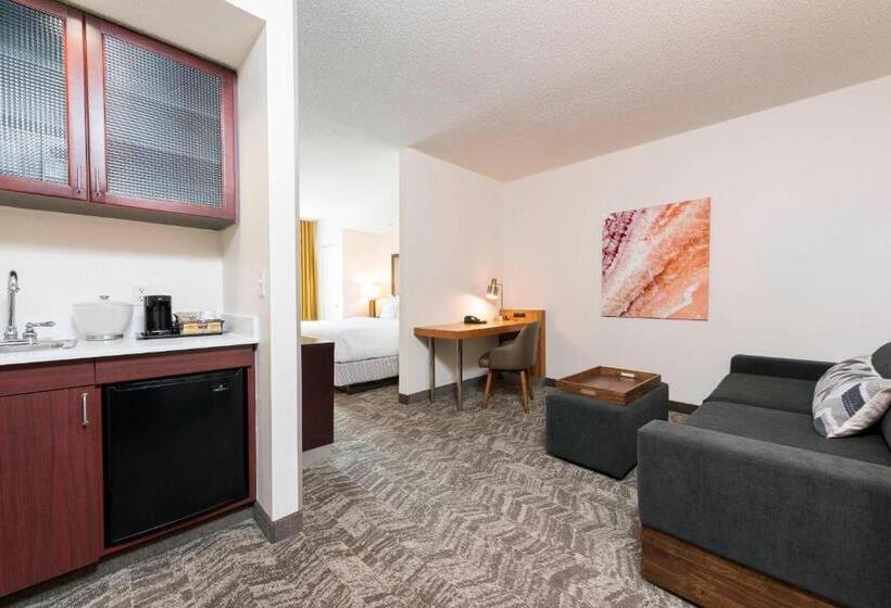 Suite Adapted for people with reduced mobility, Springhill Suites Grand Rapids North