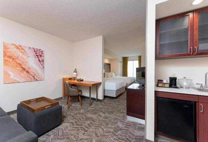 Suite Adapted for people with reduced mobility, Springhill Suites Grand Rapids North