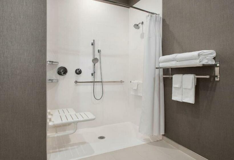 سوئیت با تخت بزرگ, Springhill Suites Herndon Reston
