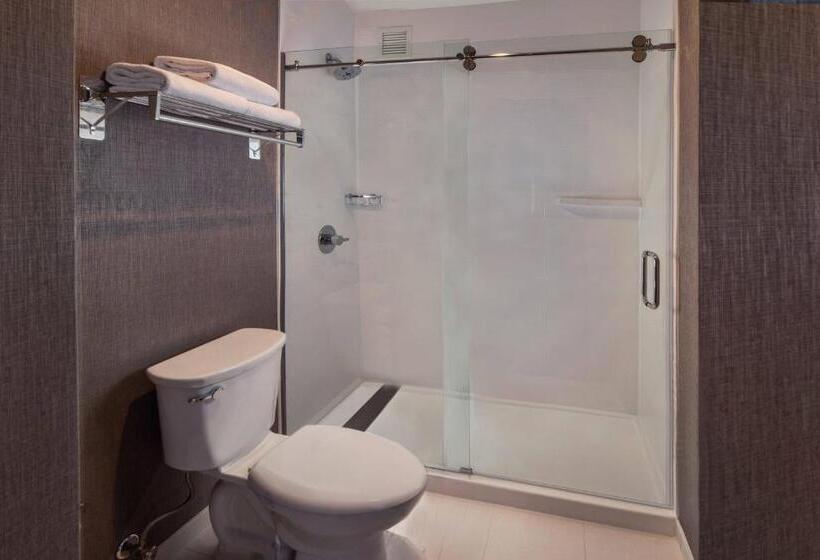 Suite Adapted for people with reduced mobility, Springhill Suites Herndon Reston