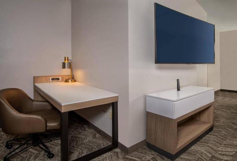 Suite Adapted for people with reduced mobility, Springhill Suites Herndon Reston