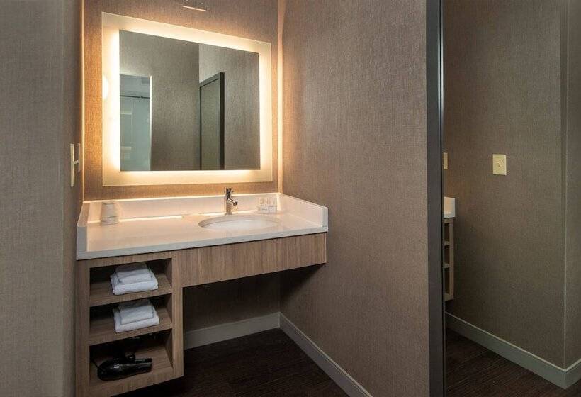 Suite Adapted for people with reduced mobility, Springhill Suites Herndon Reston