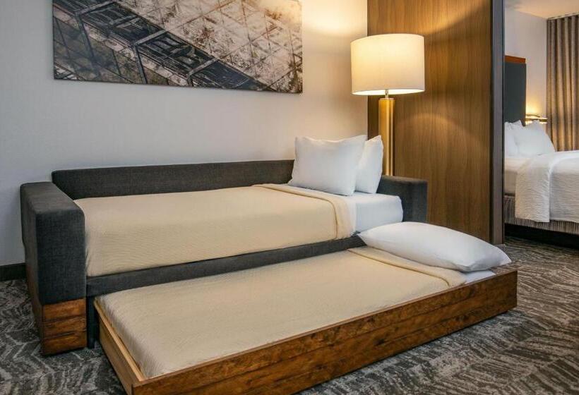استودیوی استاندارد, Springhill Suites By Marriott Hershey Near The Park