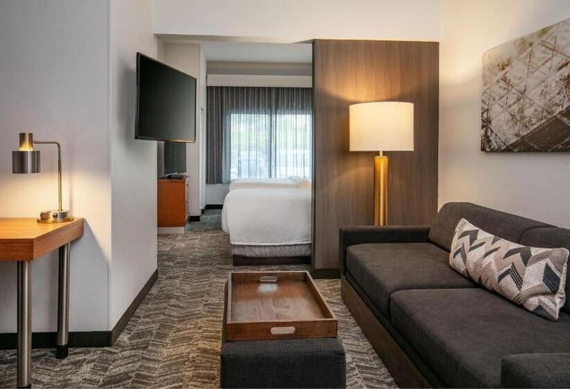 استودیوی استاندارد, Springhill Suites By Marriott Hershey Near The Park