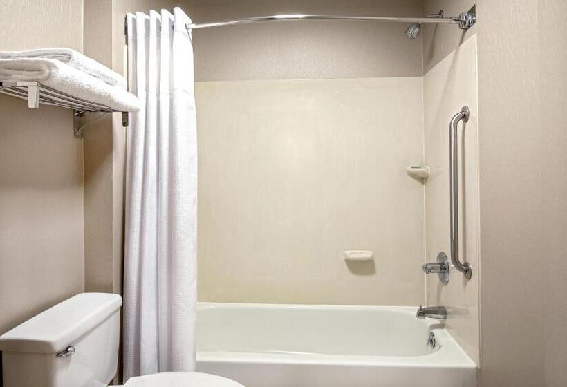 استودیوی استاندارد, Springhill Suites By Marriott Hershey Near The Park