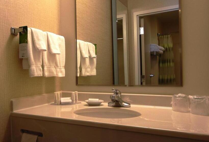 استودیوی استاندارد, Springhill Suites By Marriott Hershey Near The Park
