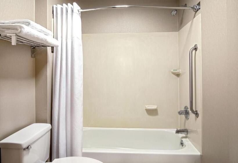 استودیو استاندارد با تخت کینگ, Springhill Suites By Marriott Hershey Near The Park