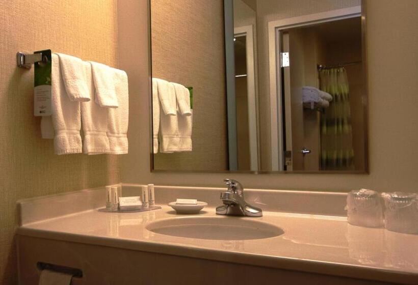 استودیو استاندارد با تخت کینگ, Springhill Suites By Marriott Hershey Near The Park