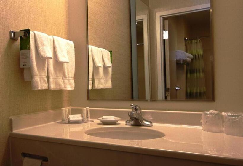 Estudio Estándar Cama King, Springhill Suites Hershey Near The Park