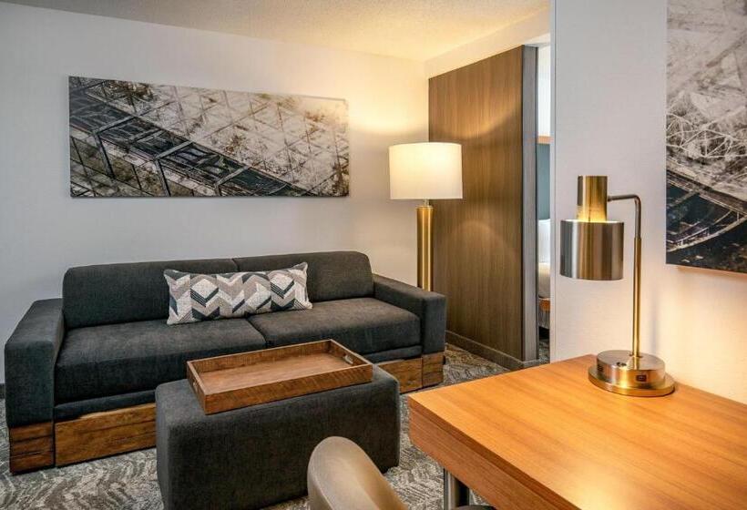 استودیو استاندارد با تخت کینگ, Springhill Suites By Marriott Hershey Near The Park