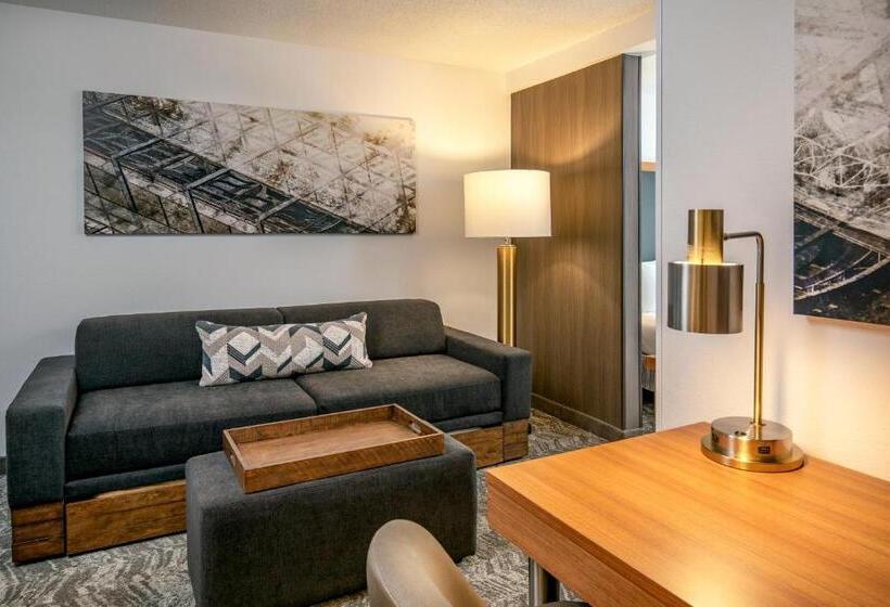 استودیوی استاندارد, Springhill Suites By Marriott Hershey Near The Park