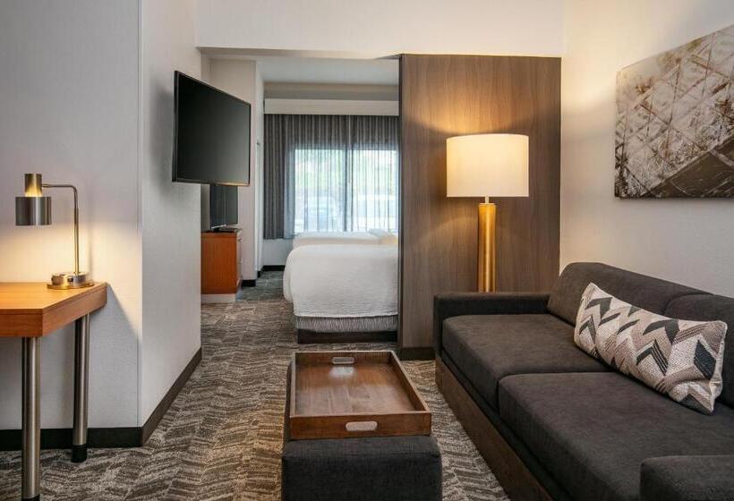 استودیوی استاندارد, Springhill Suites By Marriott Hershey Near The Park