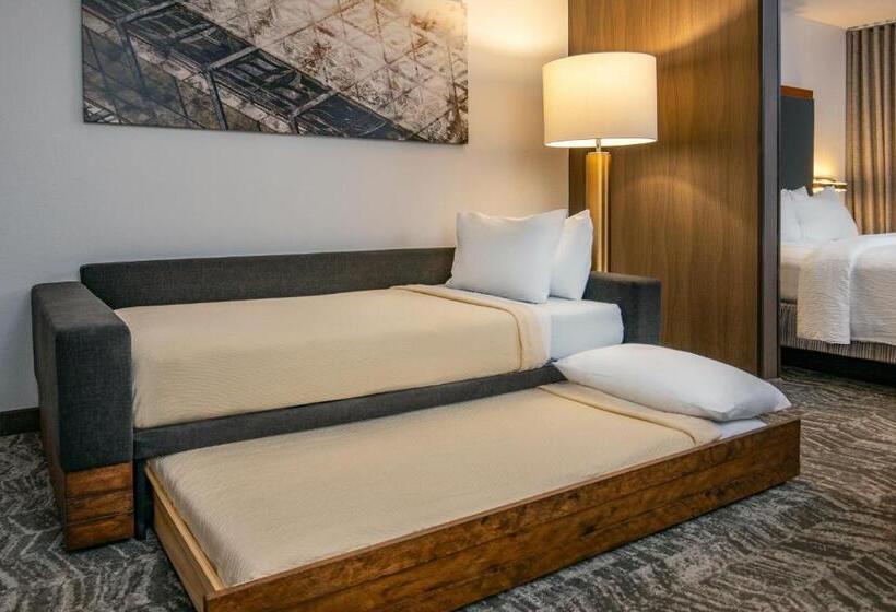 استودیو استاندارد با تخت کینگ, Springhill Suites By Marriott Hershey Near The Park