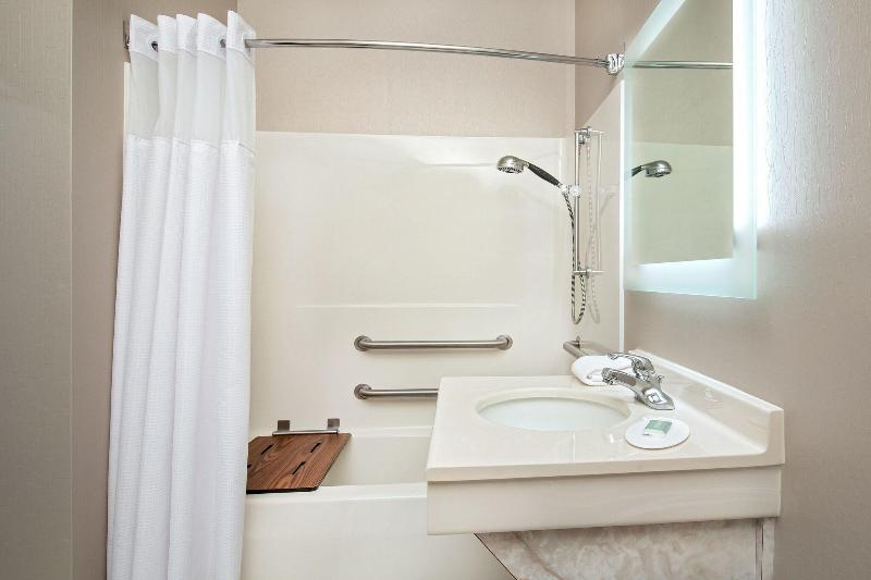 استودیو استاندارد با تخت کینگ, Springhill Suites By Marriott Hershey Near The Park