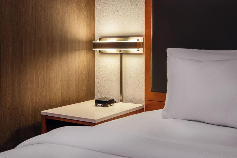 استودیو استاندارد با تخت کینگ, Springhill Suites By Marriott Hershey Near The Park