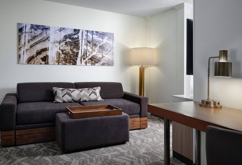 سوییت, Springhill Suites Nashville Metrocenter