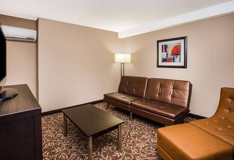 سوئیت پریمیوم 2 خوابه, Wingate By Wyndham Atlanta Galleria/ Ballpark