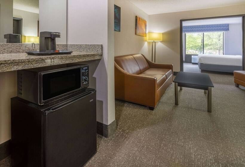 سوئیت پریمیوم 2 خوابه, Wingate By Wyndham Atlanta Galleria/ Ballpark