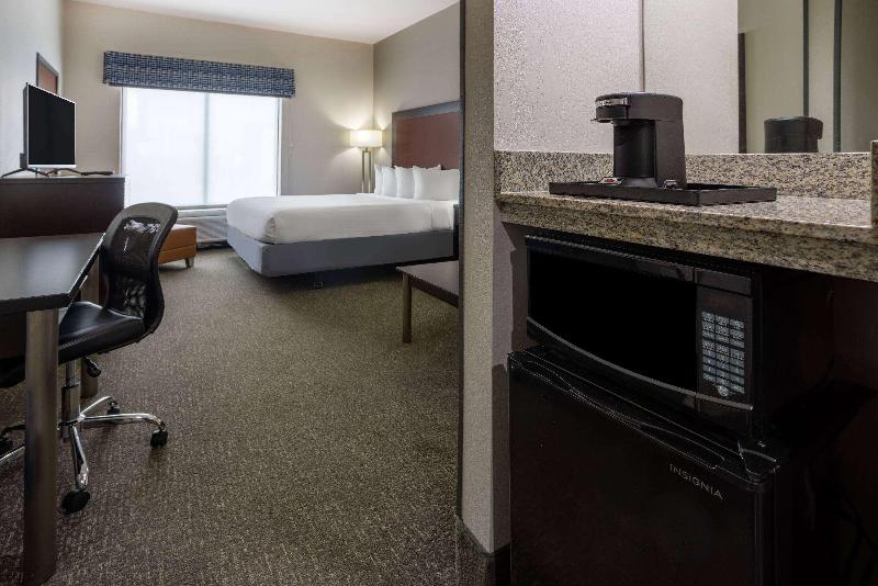 اتاق استاندارد با تخت بزرگ, Wingate By Wyndham Atlanta Galleria/ Ballpark