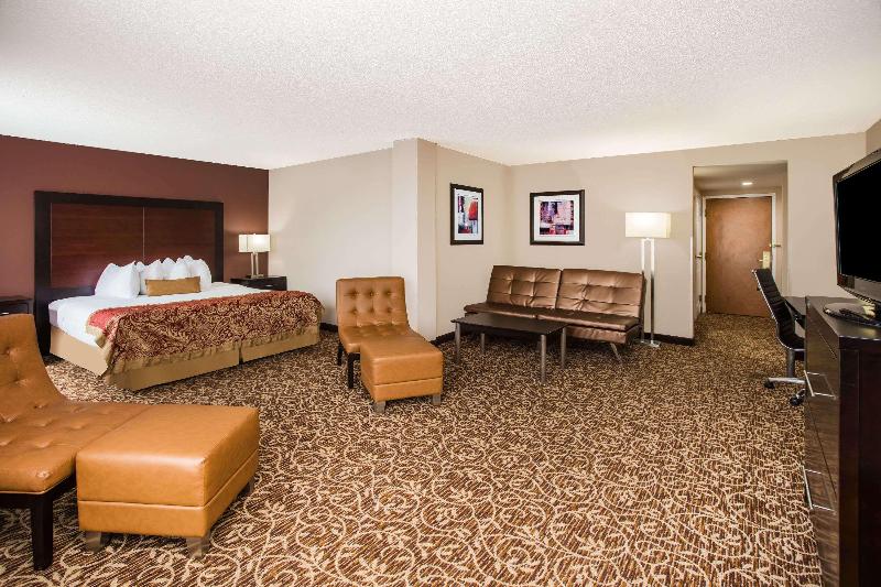 اتاق استاندارد با تخت بزرگ, Wingate By Wyndham Atlanta Galleria/ Ballpark