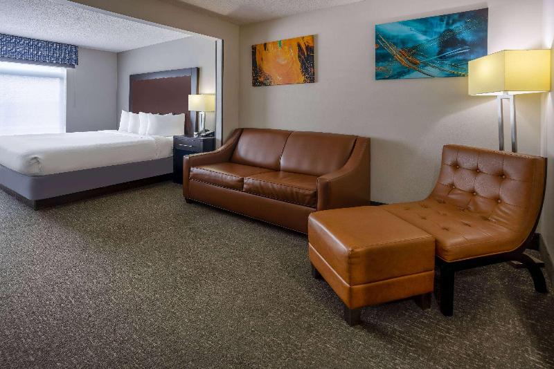 اتاق استاندارد با تخت بزرگ, Wingate By Wyndham Atlanta Galleria/ Ballpark