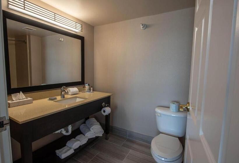 Deluxe Suite Kingsize Bett, Wingate By Wyndham Indianapolis Airport Plainfield