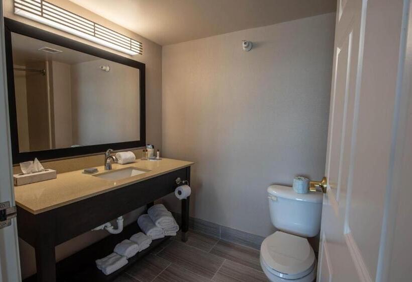 اتاق استاندارد با تخت بزرگ, Wingate By Wyndham Indianapolis Airport Plainfield