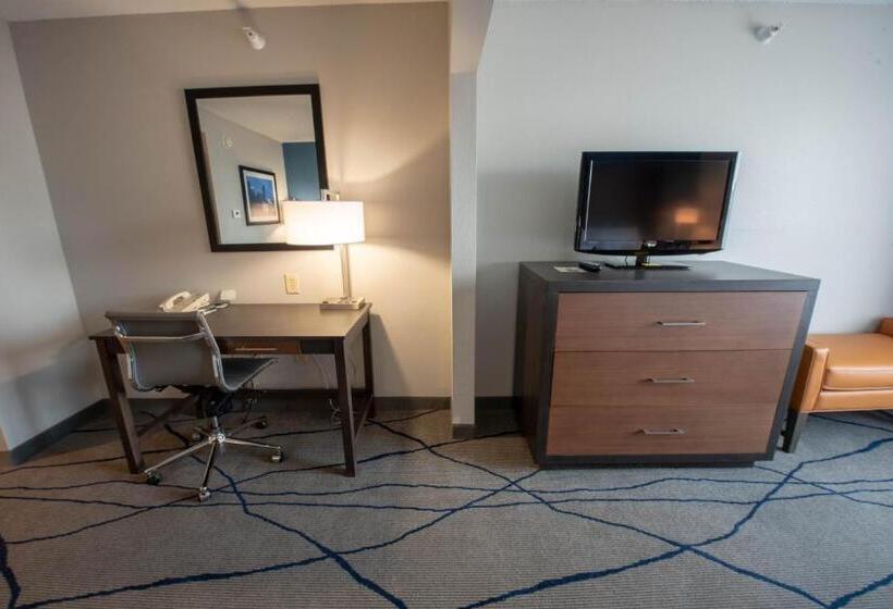 اتاق استاندارد با تخت بزرگ, Wingate By Wyndham Indianapolis Airport Plainfield