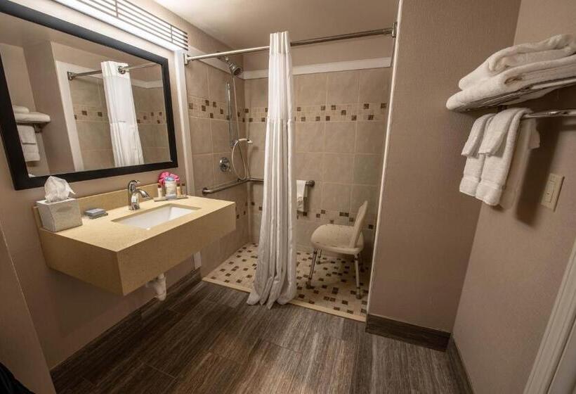 اتاق استاندارد با تخت بزرگ, Wingate By Wyndham Indianapolis Airport Plainfield