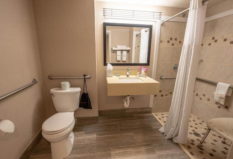 اتاق استاندارد با تخت بزرگ, Wingate By Wyndham Indianapolis Airport Plainfield
