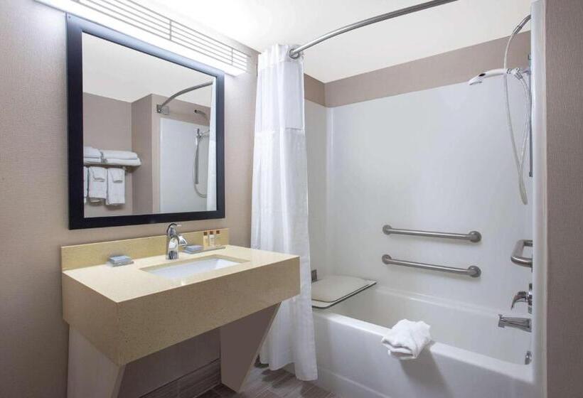 اتاق استاندارد با تخت بزرگ, Wingate By Wyndham Indianapolis Airport Plainfield