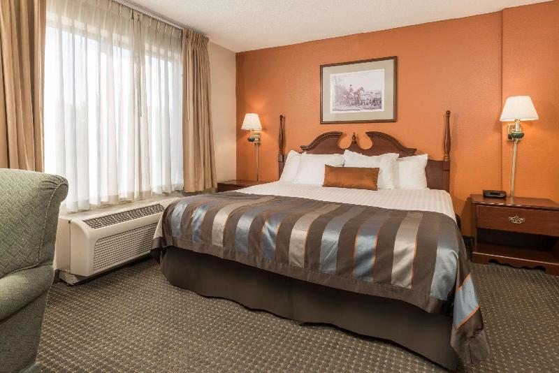 اتاق استاندارد با تخت بزرگ, Wingate By Wyndham Airport   Rockville Road