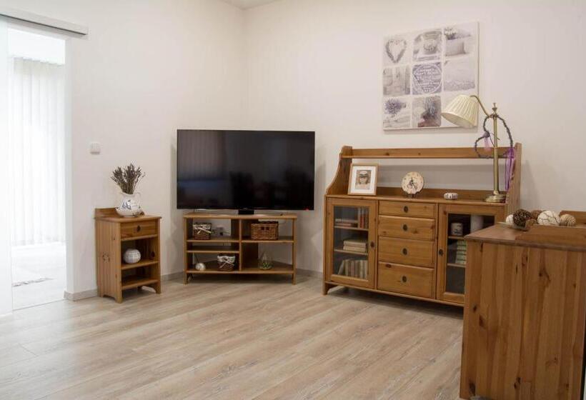 آپارتمان 1 خوابه, Apartments Gerda