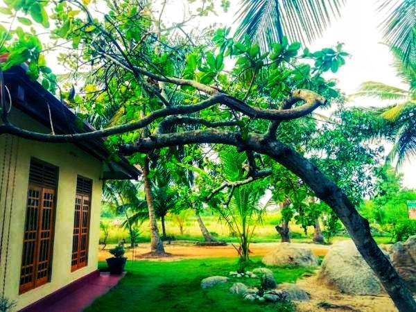 خانه 4 خوابه, Green Sapphire Holiday Resort Wilpaththu