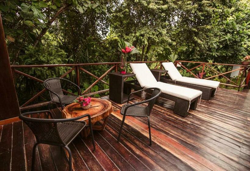 سوئیت جونیور با چشم‌انداز کوهستان, Ecohotel Yachay Tayrona Dentro Del Parque Tayrona