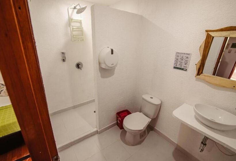 اتاق استاندارد سه نفره, Ecohotel Yachay Tayrona Dentro Del Parque Tayrona