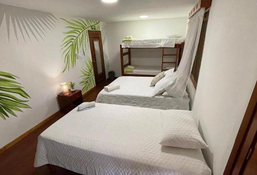 اتاق استاندارد سه نفره, Ecohotel Yachay Tayrona Dentro Del Parque Tayrona