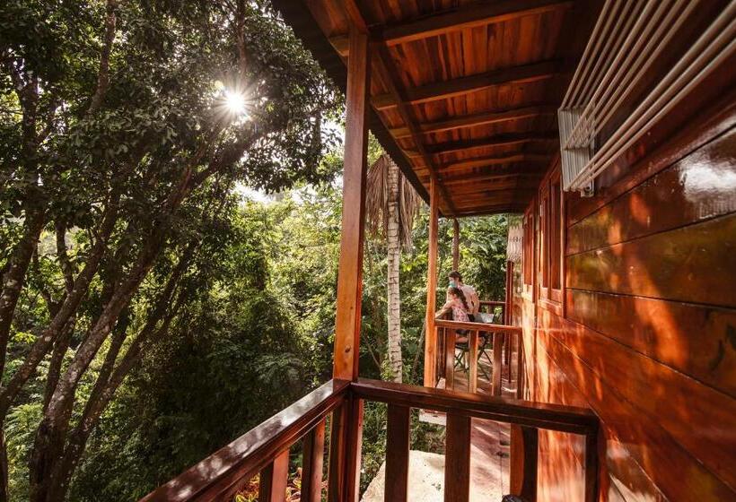 اتاق استاندارد, Ecohotel Yachay Tayrona Dentro Del Parque Tayrona