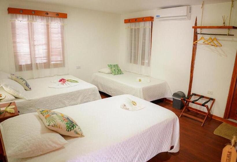 اتاق استاندارد سه نفره, Ecohotel Yachay Tayrona Dentro Del Parque Tayrona