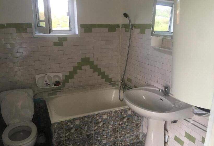 اتاق استاندارد, Vila La Izvorul Putinei