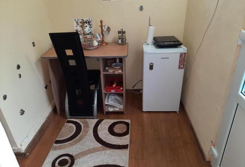 اتاق استاندارد, Vila La Izvorul Putinei
