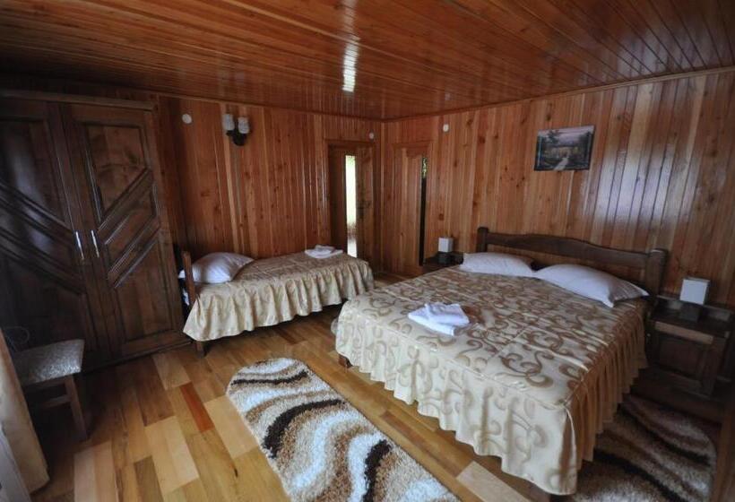 اتاق استاندارد سه نفره, Cabana Sargetia