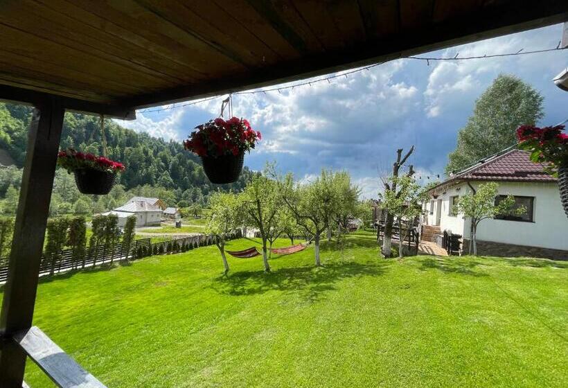 خانه 1 خوابه, Cazare Colibita Casa Lipan