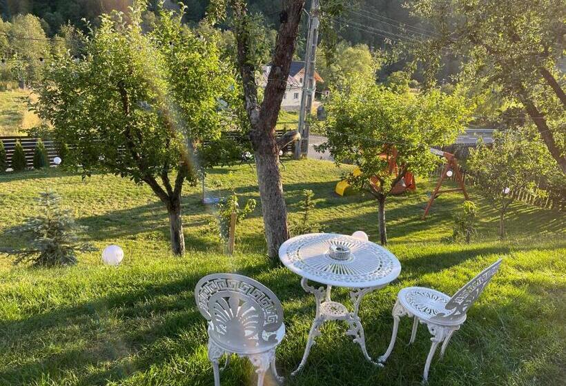 اتاق استاندارد, Cazare Colibita Casa Lipan