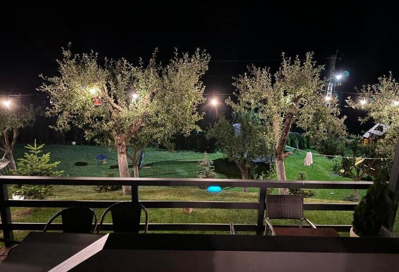 اتاق استاندارد, Cazare Colibita Casa Lipan
