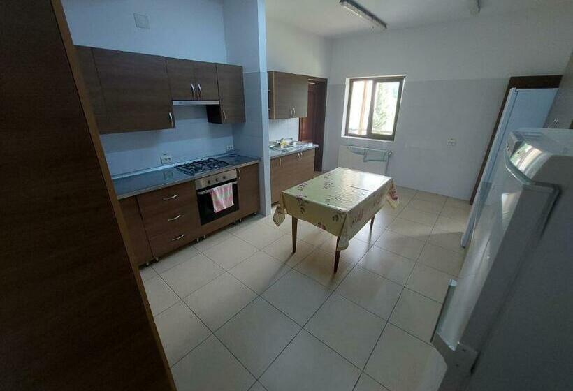 اتاق استاندارد, Pensiunea Ily
