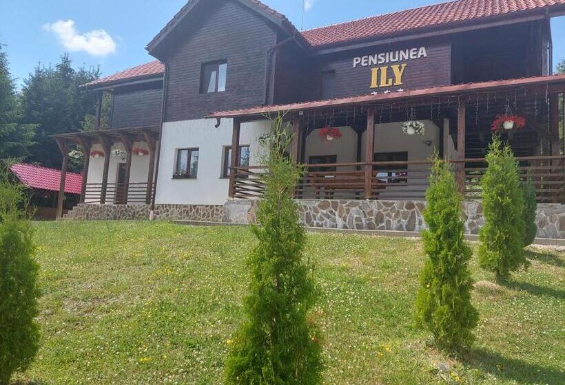 ویلای 1 خوابه, Pensiunea Ily