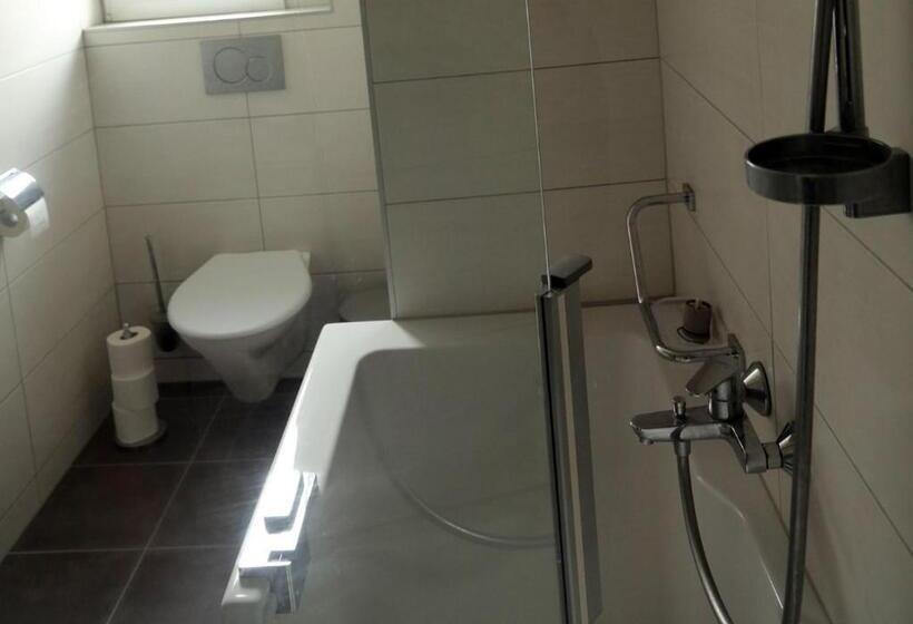 اتاق استاندارد با سرویس بهداشتی مشترک, Hôtel De Torgon