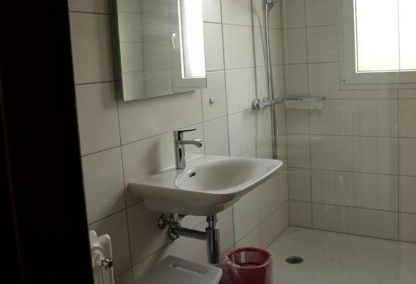 اتاق استاندارد با سرویس بهداشتی مشترک, Hôtel De Torgon